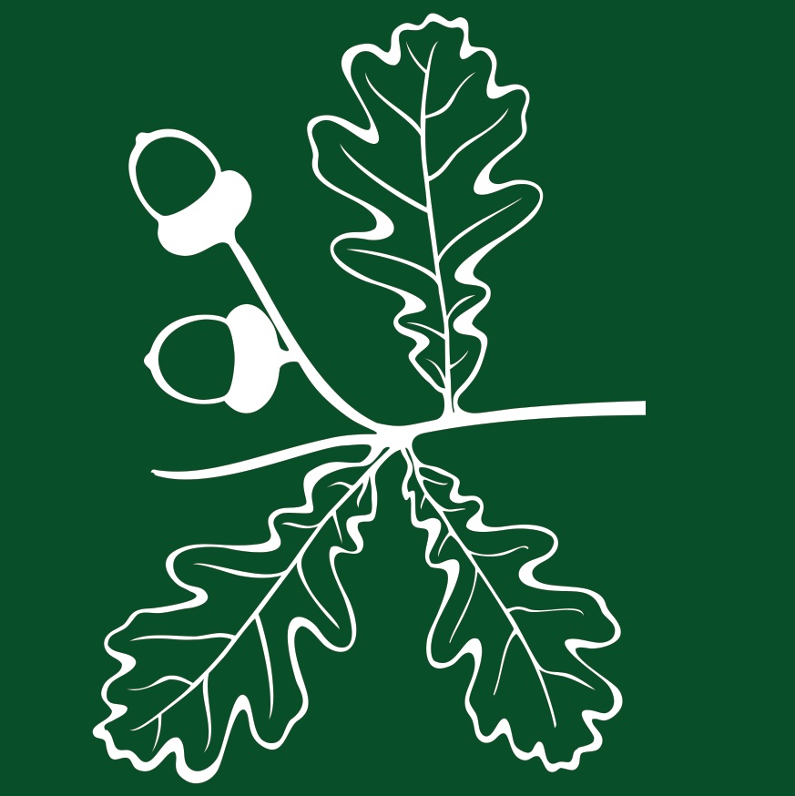 Pirts rituāls – Spēka pirtī